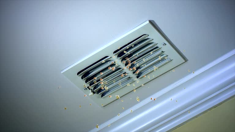 HVAC System Cleaning in Fort Rucker, AL